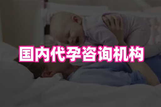 海口助孕网站 2