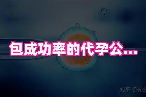 海口助孕网站 3