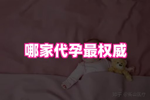 海口助孕网站 4